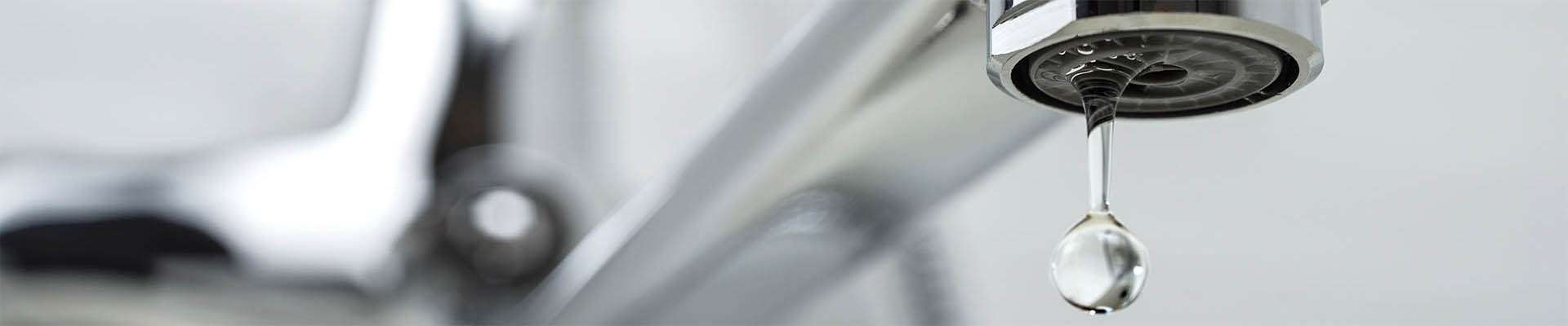 La importancia del agua